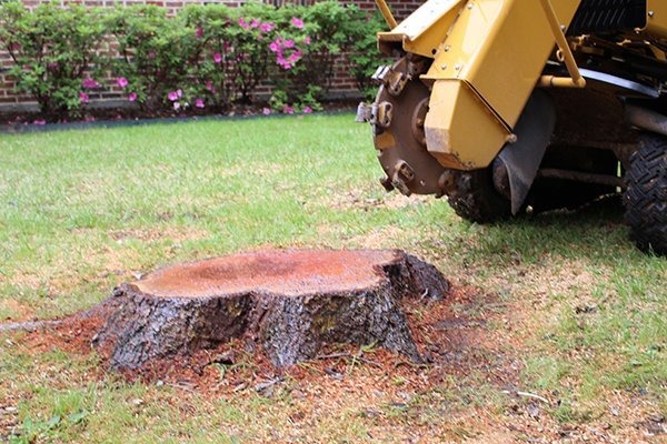 Stump Grinding Specialists
